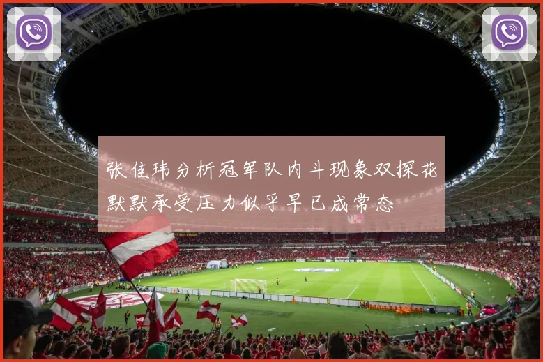 张佳玮分析冠军队内斗现象双探花默默承受压力似乎早已成常态